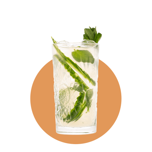 Cocktail-Summer-Mule